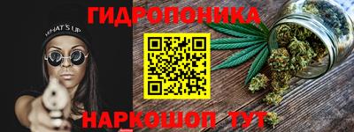 apvp Кунгур
