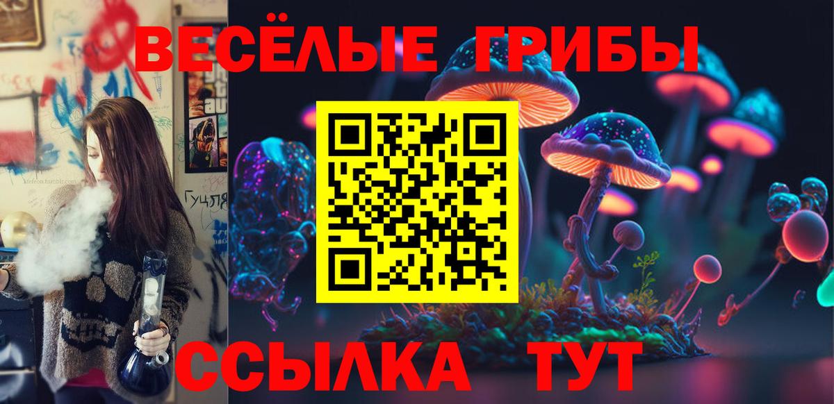 Фурманов  Псилоцибиновые грибы прущие грибы  Вход с VPN 